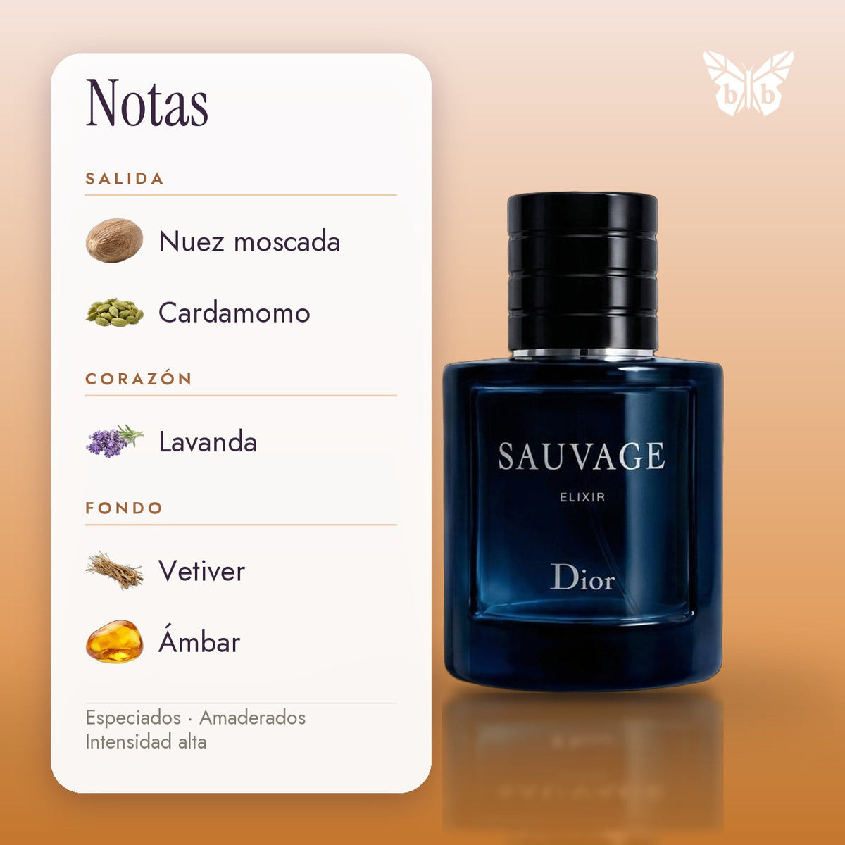 notas