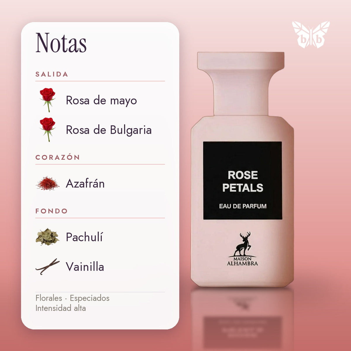 notas