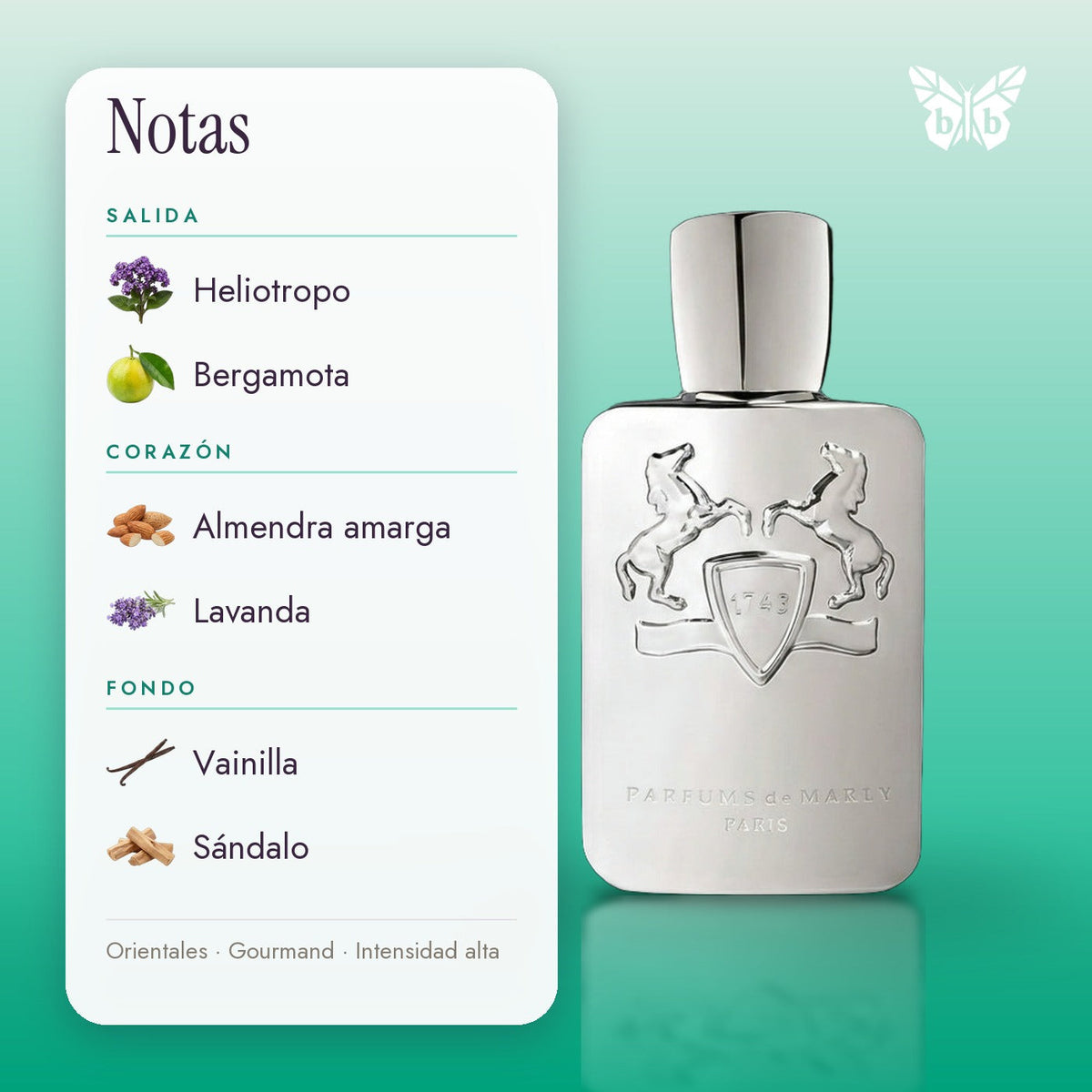 notas