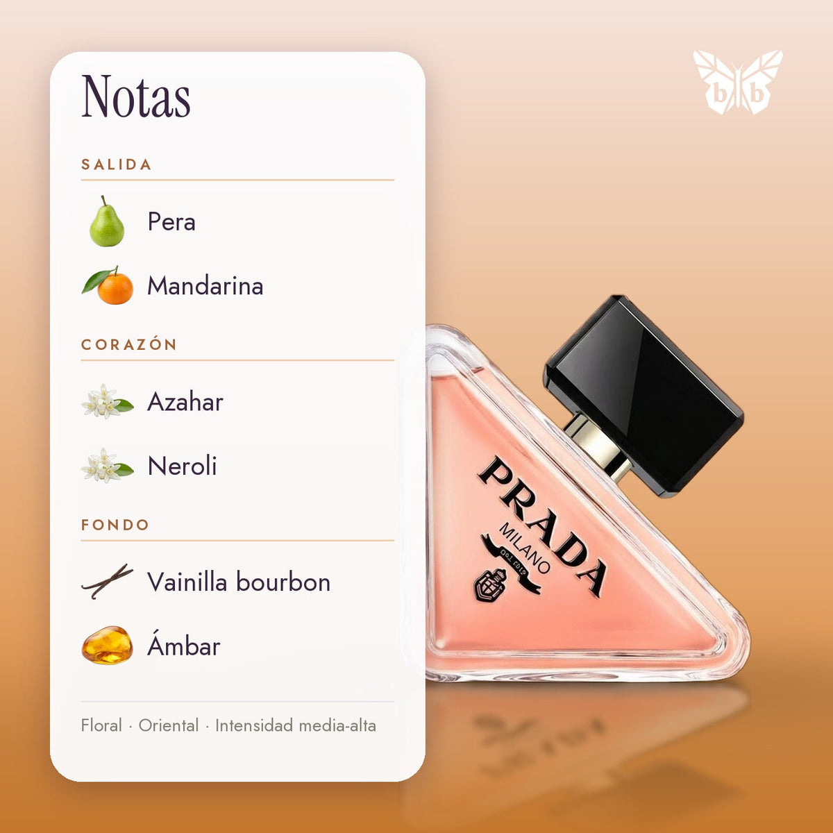 notas