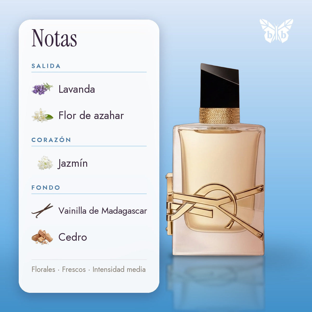 notas