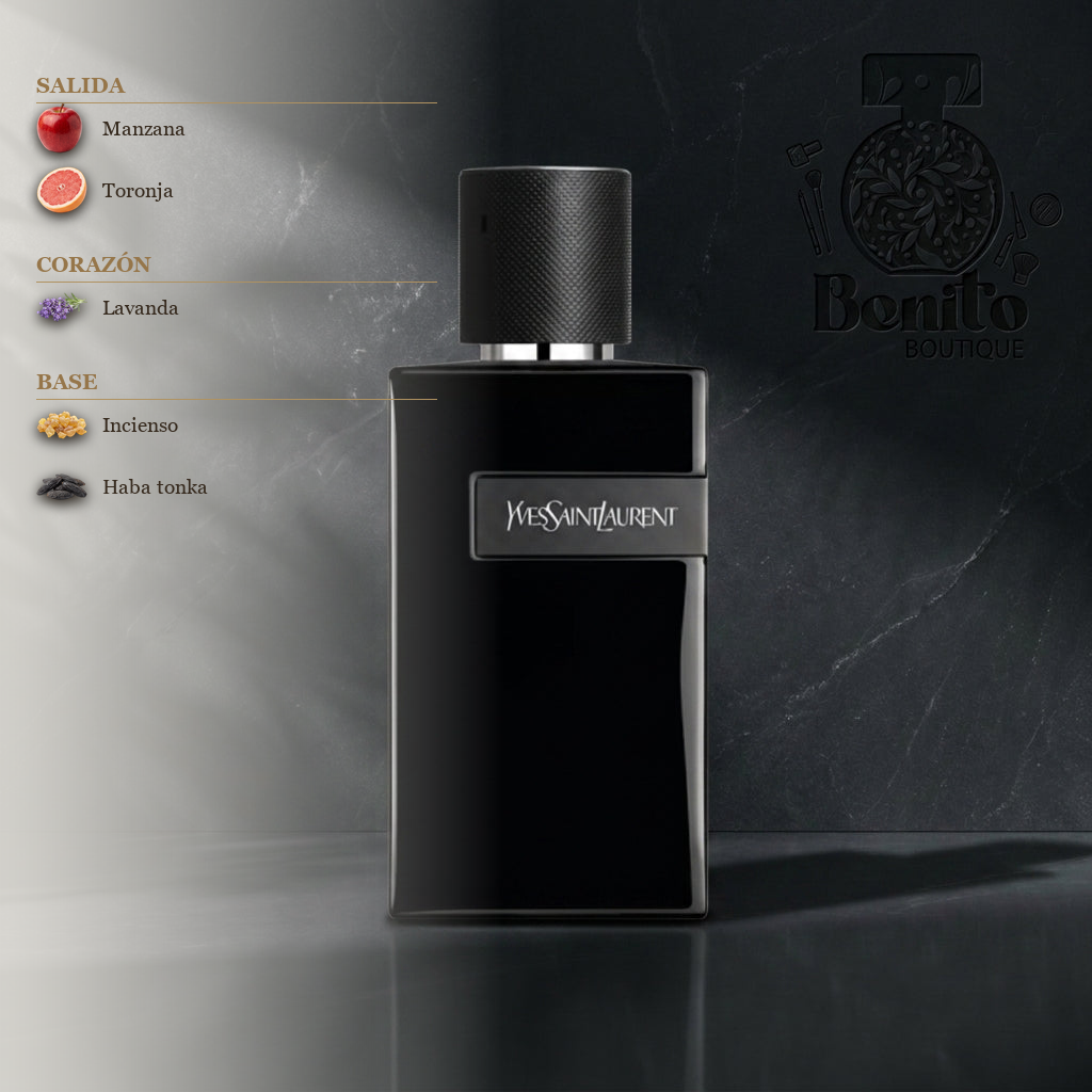 YVES SAINT LAURENT Y LE PARFUM - Notas olfativas