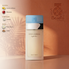 Dolce & Gabbana Light Blue - Notas olfativas