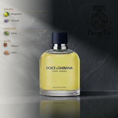 DOLCE & GABBANA POUR HOMME EDT - Notas olfativas