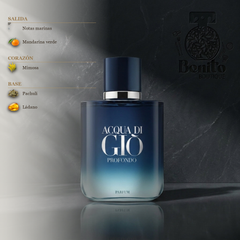 GIORGIO ARMANI ACQUA DI GIÒ PROFONDO PARFUM - Notas olfativas