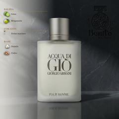 GIORGIO ARMANI ACQUA DI GIO - Notas olfativas