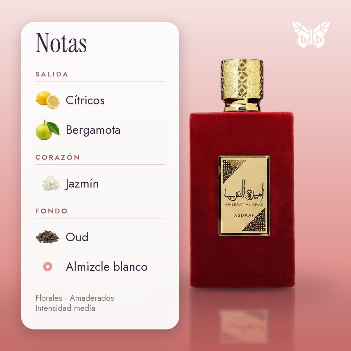 notas