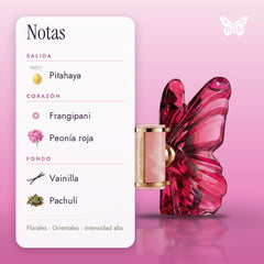 notas