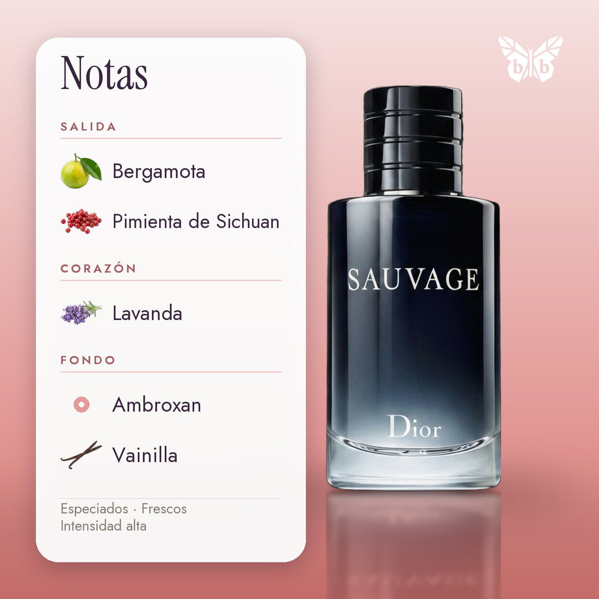 notas