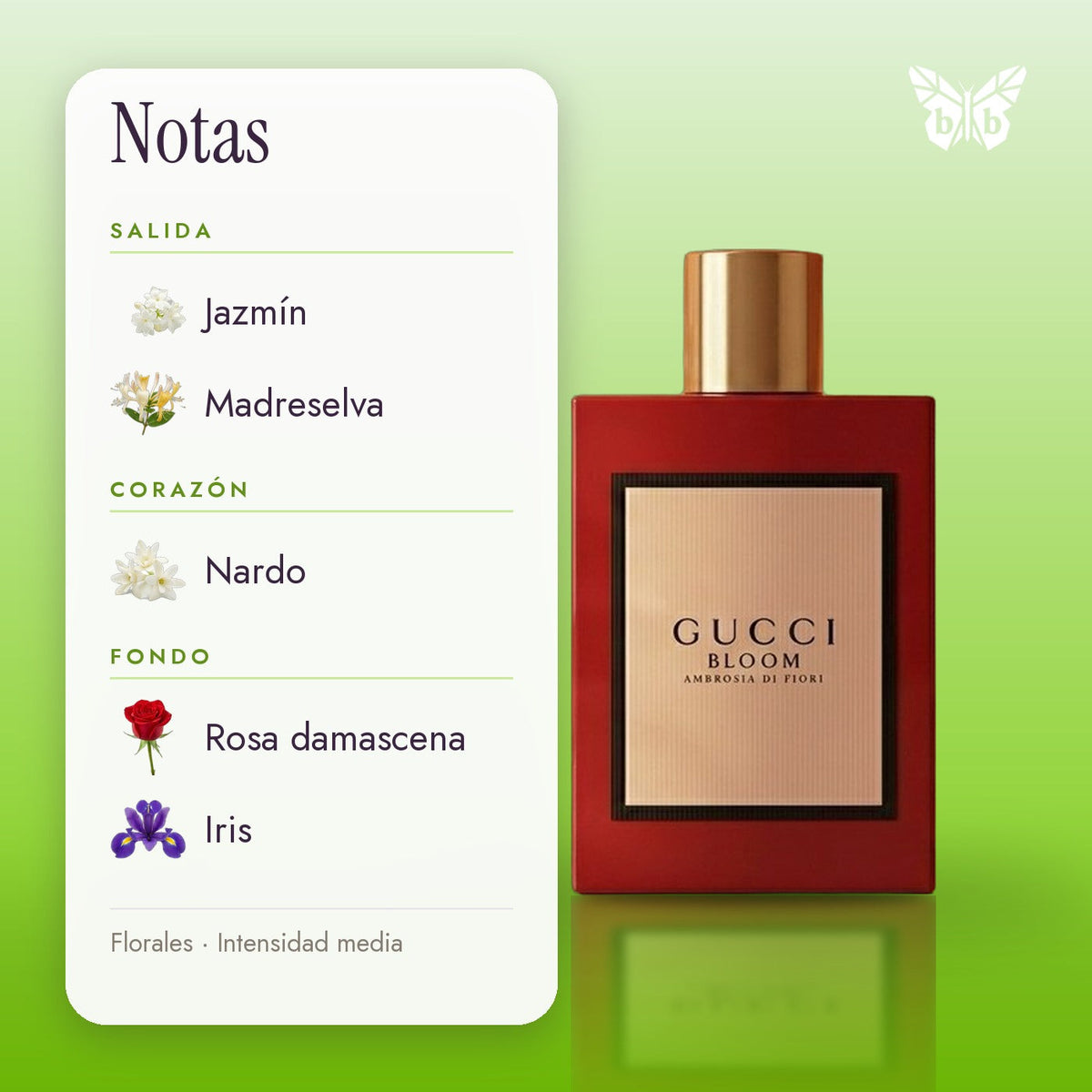 notas