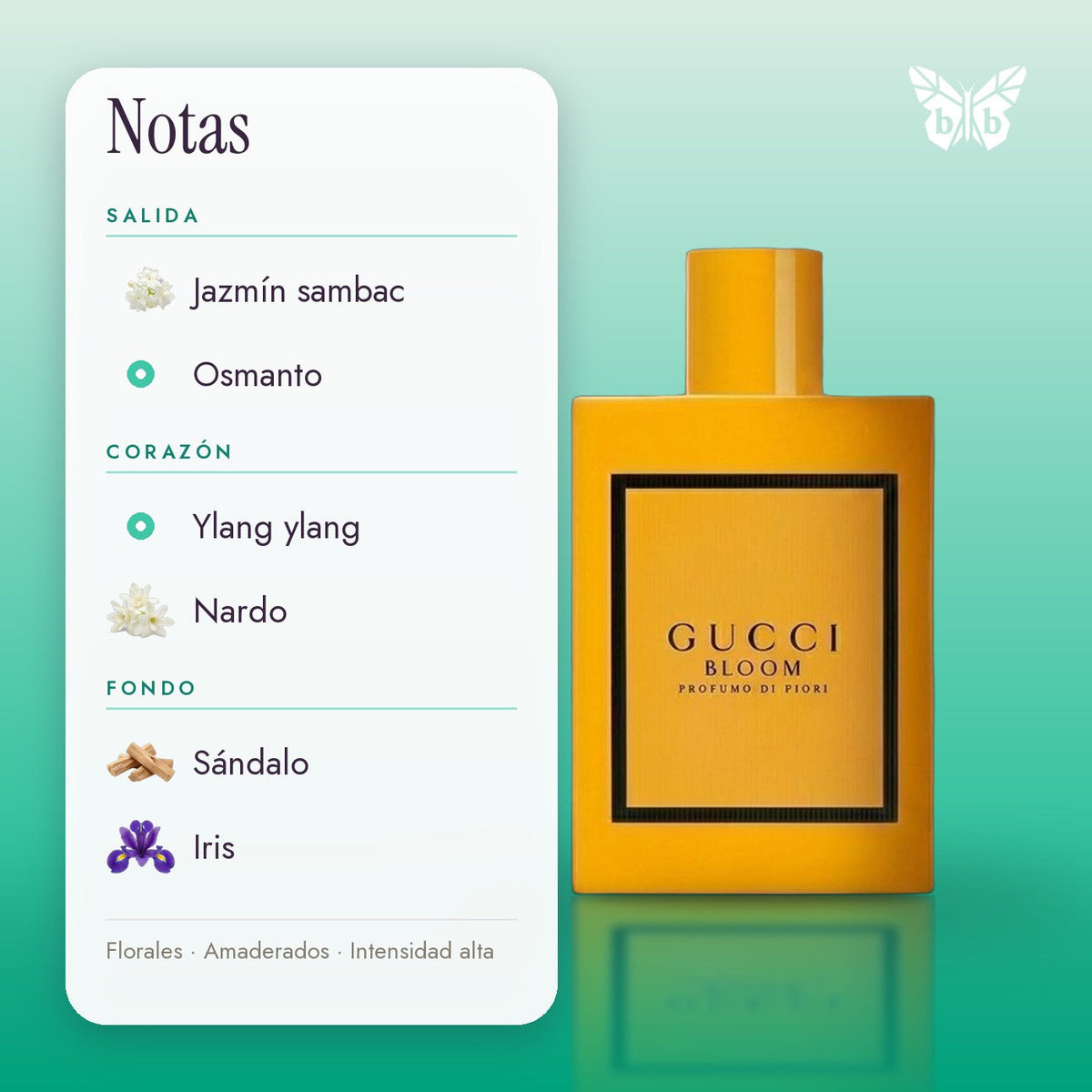 notas
