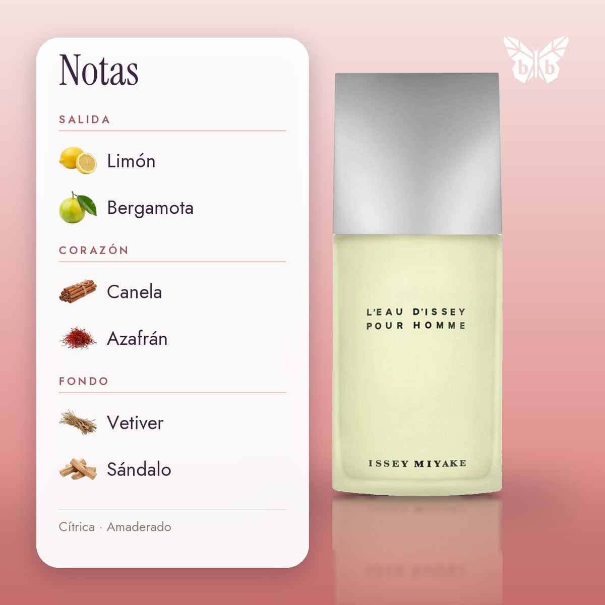 notas