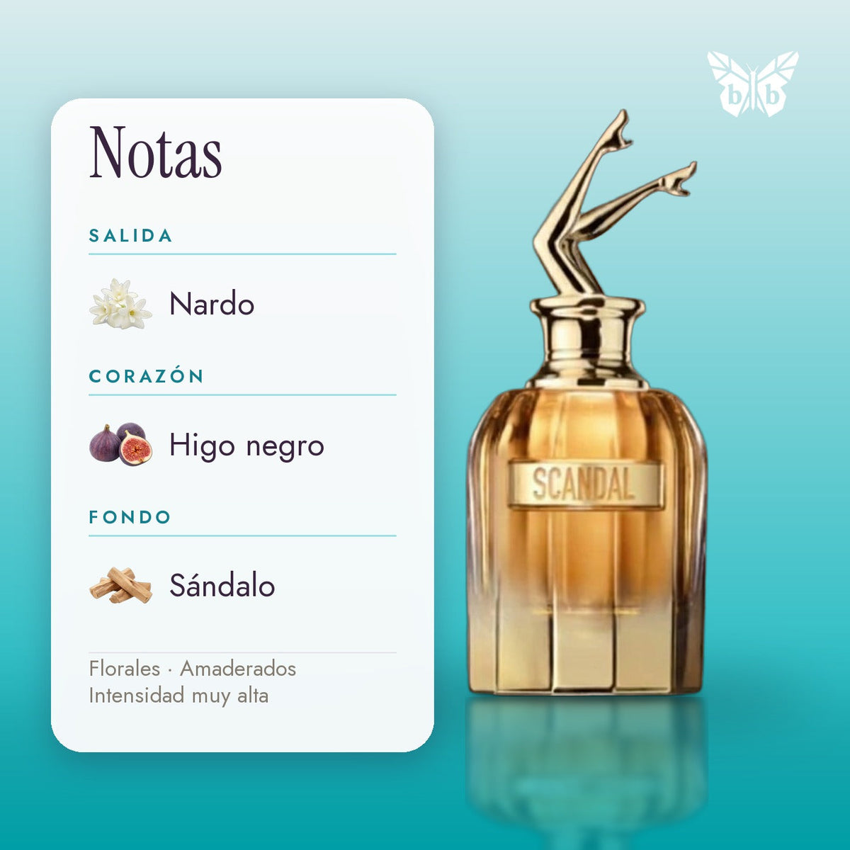 notas