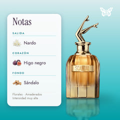 notas