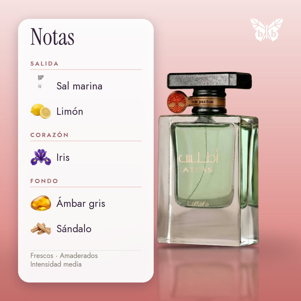 notas