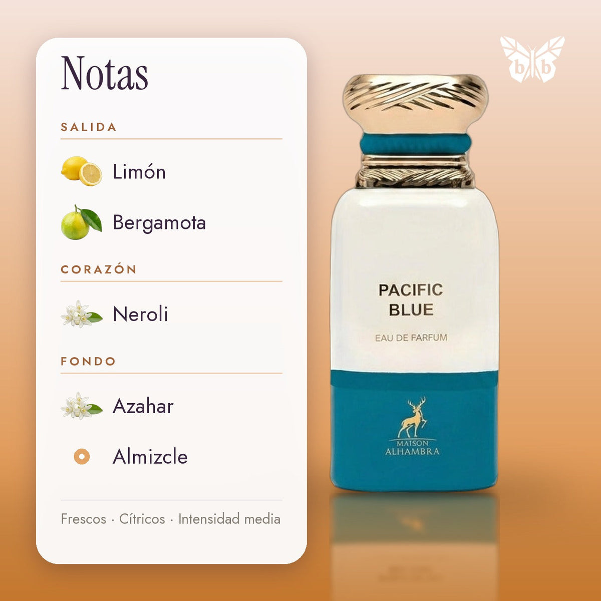 notas