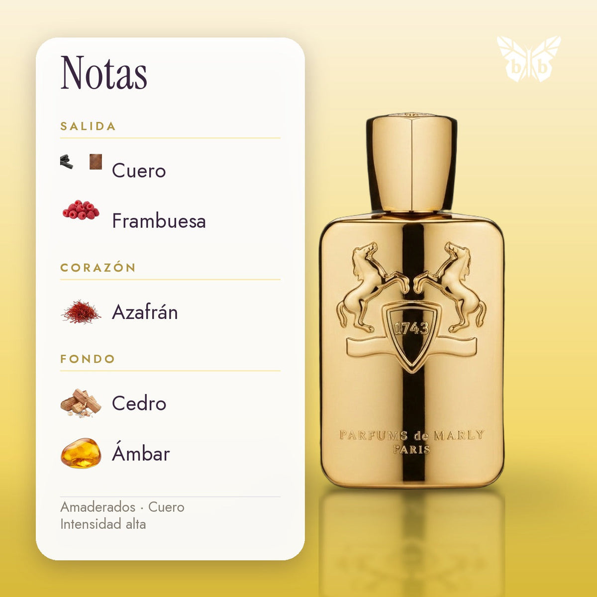 notas