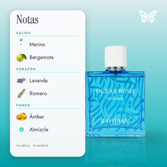 notas