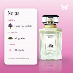 notas