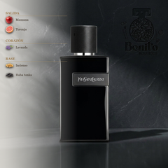 YVES SAINT LAURENT Y LE PARFUM - Notas olfativas